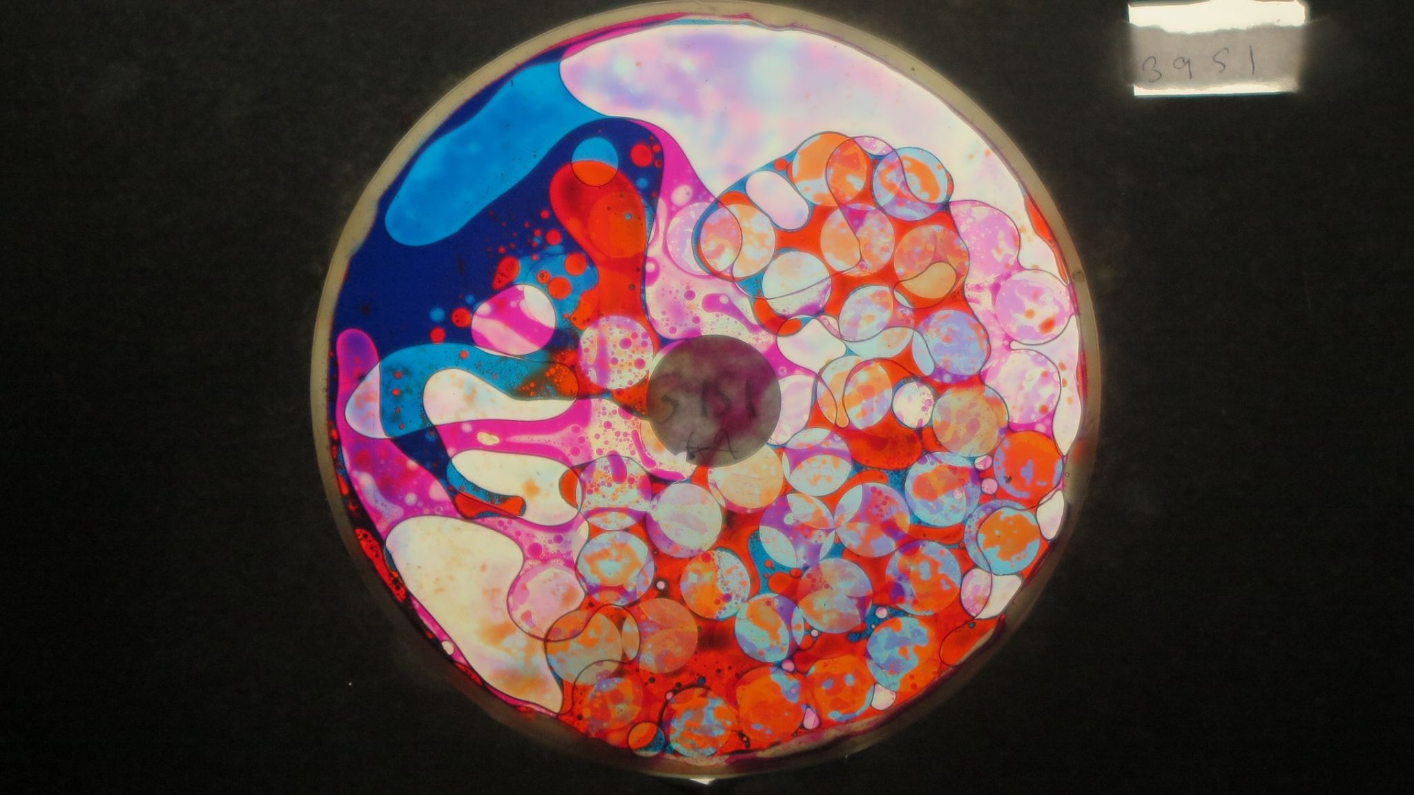 BV3951 bubble vision oil wheel